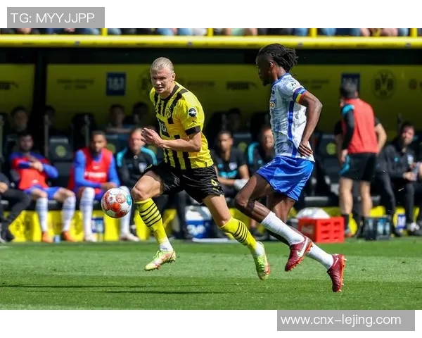 多特蒙德主场迎战柏林赫塔争夺德甲积分榜重要战役